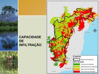 CAPACIDADE
                        DE
                        INFILTRAÇÃO




Fotos: Scott Warren e
Leandro Baumgarten.
 