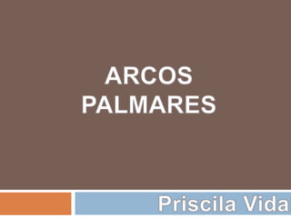 ARCOSPALMARES,[object Object],Priscila Vidal,[object Object]