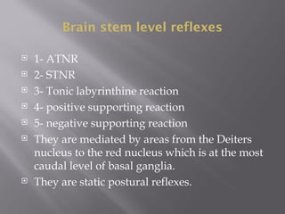 Brain stem level reflexes
 1- ATNR
 2- STNR
 3- Tonic labyrinthine reaction
 4- positive supporting reaction
 5- negative supporting reaction
 They are mediated by areas from the Deiters
nucleus to the red nucleus which is at the most
caudal level of basal ganglia.
 They are static postural reflexes.
 