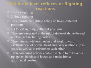 Mid brain level reflexes or Righting
reactions
 1- Neck righting
 2- Body righting
 3- Labyrinthine righting acting on head (different
position)
 4- Optical righting (different position)
 They are integrated at the midbrain level above the red
nucleus, not including cortex.
 They interact with each other and work toward
establishment of normal head and body relationship in
space as well as in relation to each other.
 Their combined actions enable the child to roll over, sit
up, get on hands and knees, and make him a
qudripedal creator.
 