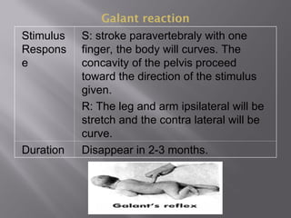 Galant reaction
Stimulus
Respons
e
S: stroke paravertebraly with one
finger, the body will curves. The
concavity of the pelvis proceed
toward the direction of the stimulus
given.
R: The leg and arm ipsilateral will be
stretch and the contra lateral will be
curve.
Duration Disappear in 2-3 months.
 