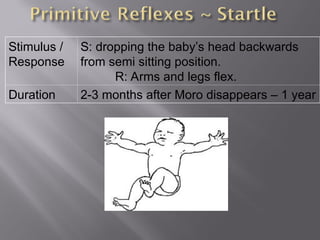 Stimulus /
Response
S: dropping the baby’s head backwards
from semi sitting position.
R: Arms and legs flex.
Duration 2-3 months after Moro disappears – 1 year
 