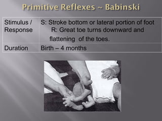 Stimulus /
Response
S: Stroke bottom or lateral portion of foot
R: Great toe turns downward and
flattening of the toes.
Duration Birth – 4 months
 