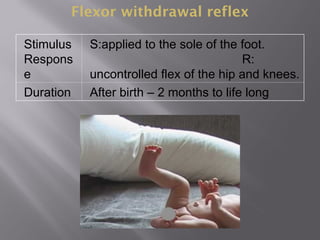 Flexor withdrawal reflex
Stimulus
Respons
e
S:applied to the sole of the foot.
R:
uncontrolled flex of the hip and knees.
Duration After birth – 2 months to life long
 