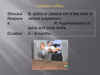 Landau reflex
Stimulus
Respons
e
S: active or passive ext of the neck in
ventral suspension.
R: Hyperextension of
spine and lower limbs.
Duration 3 – 8 months.
 
