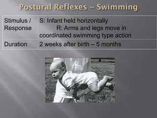 Stimulus /
Response
S: Infant held horizontally
R: Arms and legs move in
coordinated swimming type action
Duration 2 weeks after birth – 5 months
 