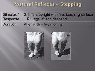 Stimulus /
Response
S: Infant upright with feet touching surface
R: Legs lift and descend
Duration After birth – 5-6 months
 