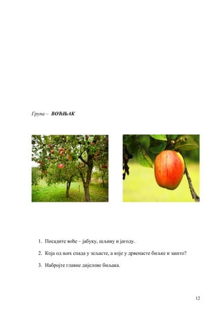 12
Група – ВОЋЊАК
1. Посадите воће – јабуку, шљиву и јагоду.
2. Која од њих спада у зељасте, а које у дрвенасте биљке и зашто?
3. Набројте главне дијелове биљака.
 