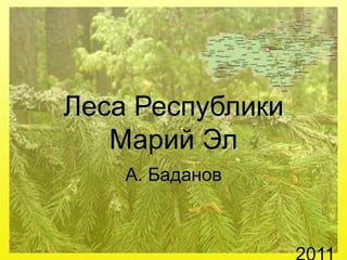 Леса Республики Марий Эл А. Баданов 2011 