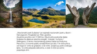 „Nacionalni park Sutjeska“ je najstariji nacionalni park u Bosni i
Hercegovini. Proglašen je 1962. godine.
Zauzima površinu od 17.250 ha. Obuhvata područje rijeke
Sutjeske te dijelove planina Maglić, Volujak, Vučevo i
Zelengora. U okviru nacionalnog parka nalazi se Prašuma
Perućica. U ovome parku evidentirano je oko 114 vrsta ptica,
od toga 61 vrsta se gnijezdi, a 32 vrste posjećuju park svakoga
ljeta, 16 vrsta pripada selicama, a dok 5 vrsta se samo
pojavljuje zimi.
 