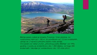Blidnje jezero nalazi se između Čvrsnice i Vran planine, na
nadmorskoj visini od 1.183 m. Sa površinom od 2,5 km kvadratnih,
ubraja se u najveća prirodna jezera naše zemlje.
Ovo jezero se nalazi unutar „prirodnog parka Blidinje“ od 1995.
godine. U parku je evidentirano oko 1.500 biljaka, od toga 200
endemskih, takodjer je i evidentirano oko 122 vrste ptica.
 