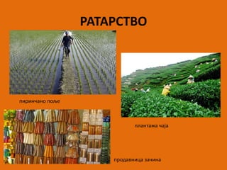 РАТАРСТВО
пиринчано поље
плантажа чаја
продавница зачина
 