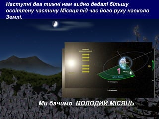 Наступні два тижні нам видно дедалі більшу 
освітлену частину Місяця під час його руху навколо 
Землі. 
Ми бачимо ММООЛЛООДДИИЙЙ ММІІССЯЯЦЦЬЬ 
 
