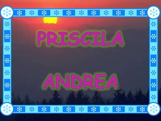 PRISCILA  ANDREA 