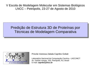 V Escola de Modelagem Molecular em Sistemas Biológicos
      LNCC – Petrópolis, 23-27 de Agosto de 2010




   Predição de Estrutura 3D de Proteínas por
   Predição de Estrutura 3D de Proteínas por
     Técnicas de Modelagem Comparativa
      Técnicas de Modelagem Comparativa




                 Priscila Vanessa Zabala Capriles Goliatt

                 Laboratório Nacional de Computação Cientíca - LNCC/MCT
                 Av. Getúlio Vargas, 333, Petrópolis, RJ, Brasil
                 E-mail: capriles@lncc.br
 