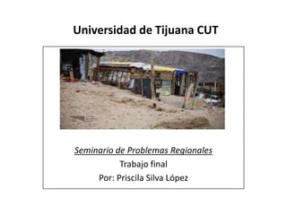 Universidad de Tijuana CUT
Seminario de Problemas Regionales
Trabajo final
Por: Priscila Silva López
 