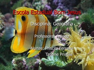 Escola Estadual Bom Jesus Disciplina: Geografia Professora: Arlinda Alunas: Priscila Ferreira Tatiane Priscila 