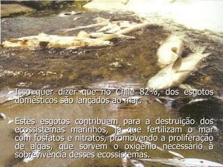 Isso quer dizer que no Chile 82%, dos esgotos domésticos são lançados ao mar.  Estes esgotos contribuem para a destruição dos ecossistemas marinhos, já que fertilizam o mar com fosfatos e nitratos, promovendo a proliferação de algas, que sorvem o oxigénio necessário à sobrevivência desses ecossistemas. 