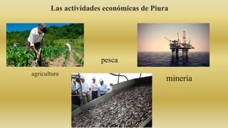 Las actividades económicas de Piura
agricultura
minería
pesca
 