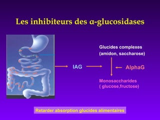 Glucides complexes
(amidon, saccharose)
AlphaG
Monosaccharides
( glucose,fructose)
IAG
Retarder absorption glucides alimentaires
Les inhibiteurs des α-glucosidases
 
