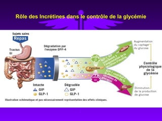 Rôle des Incrétines dans le contrôle de la glycémie
 