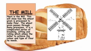 THE MILL
Next is the Mill. This
will show how the wheat
grain is processed to
make flour. The wheat
grain passes through
many processes, it is a
complicated series of
breaking, sifting and
rolling which allows the
miller to achieve the
colour and type of flour
he needs.
 