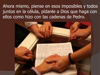 Ahora mismo, piense en esos imposibles y todos 
juntos en la célula, pídanle a Dios que haga con 
ellos como hizo con las cadenas de Pedro. 
 