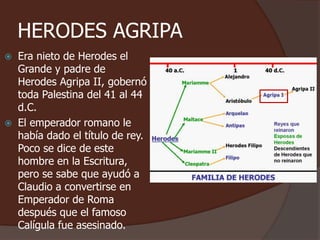 HERODES AGRIPA 
 Era nieto de Herodes el 
Grande y padre de 
Herodes Agripa II, gobernó 
toda Palestina del 41 al 44 
d.C. 
 El emperador romano le 
había dado el título de rey. 
Poco se dice de este 
hombre en la Escritura, 
pero se sabe que ayudó a 
Claudio a convertirse en 
Emperador de Roma 
después que el famoso 
Calígula fue asesinado. 
 