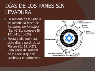 DÍAS DE LOS PANES SIN 
LEVADURA 
 La semana de la Pascua 
se llamaba la fiesta de 
los panes sin levadura 
(Ez. 45:21; compare Ex. 
12:1–11, 15–20). 
 Fiesta judía que dura 
siete días a partir de la 
Pascua (Ex 12:1-27). 
Eran parte del festival 
de la Pascua que se 
celebraba en primavera. 
 