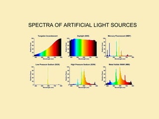 SPECTRA OF ARTIFICIAL LIGHT SOURCES
 
