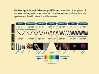 Visible light is not inherently different from the other parts of
the electromagnetic spectrum with the exception that the human
eye has evolved to detect visible waves.
 