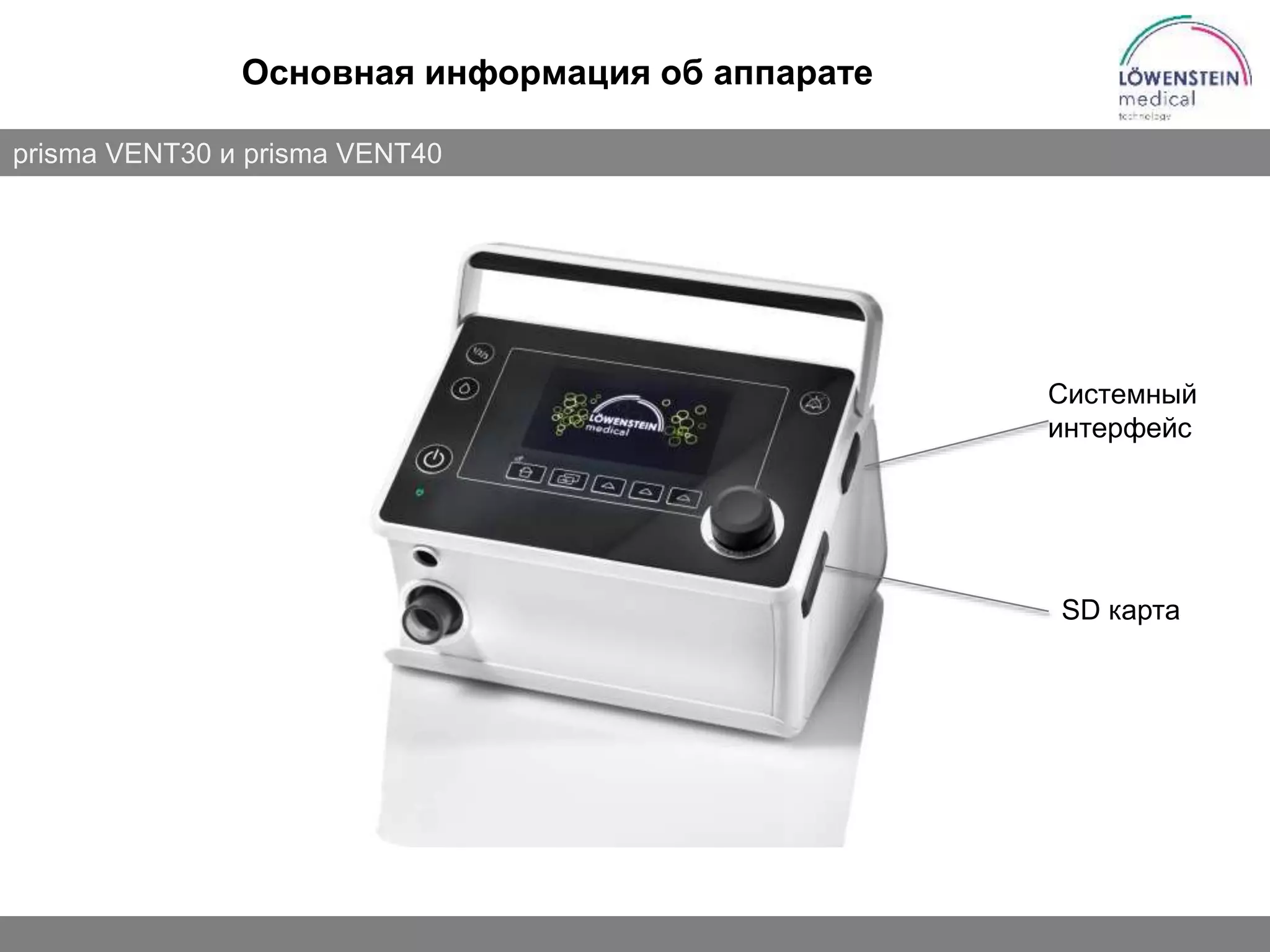 Slide 7