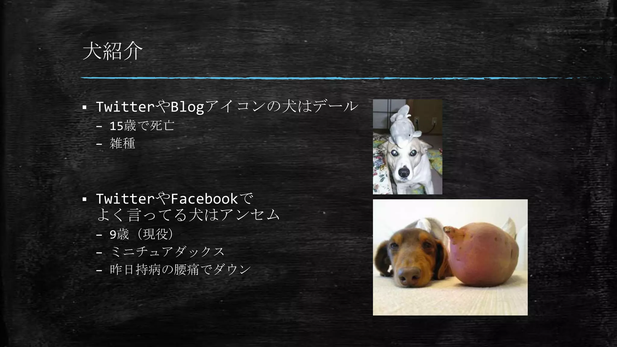 犬紹介
 TwitterやBlogアイコンの犬はデール
– 15歳で死亡
– 雑種
 TwitterやFacebookで
よく言ってる犬はアンセム
– 9歳（現役）
– ミニチュアダックス
– 昨日持病の腰痛でダウン
 