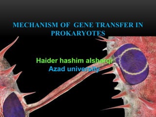 OF GENE TRANSFER INMECHANISM
PROKARYOTES
Haider hashim alsharqi
Azad university
 