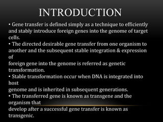 mechanism of gene transfer prokaryotes | PPTX