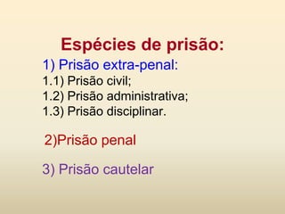 Espécies de prisão:
1) Prisão extra-penal:
1.1) Prisão civil;
1.2) Prisão administrativa;
1.3) Prisão disciplinar.

2)Prisão penal

3) Prisão cautelar
 