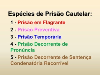 Espécies de Prisão Cautelar:
1 - Prisão em Flagrante
2 - Prisão Preventiva
3 - Prisão Temporária
4 - Prisão Decorrente de
Pronúncia
5 - Prisão Decorrente de Sentença
Condenatória Recorrível
 