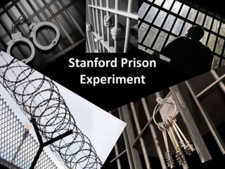 Stanford Prison
Experiment
 