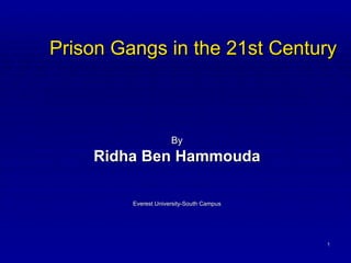 Prison Gangs in the 21st Century By Ridha Ben Hammouda Everest University-South Campus 