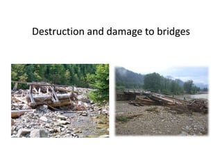 Destruction and damage to bridges
 