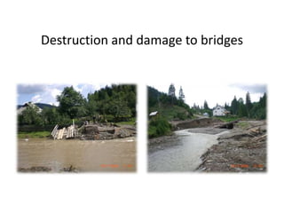 Destruction and damage to bridges
 