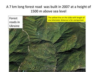 A 7 km long forest road was built in 2007 at a height of
1500 m above sea level
Forest
roads in
Ukraine
The yellow line on the slide with length of
one kilometer distance is for comparison
 