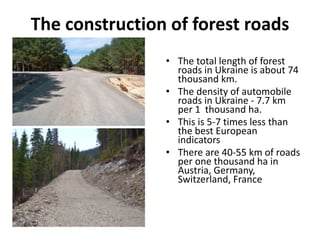 The construction of forest roads
• The total length of forest
roads in Ukraine is about 74
thousand km.
• The density of automobile
roads in Ukraine - 7.7 km
per 1 thousand ha.
• This is 5-7 times less than
the best European
indicators
• There are 40-55 km of roads
per one thousand ha in
Austria, Germany,
Switzerland, France
 
