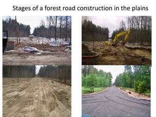 Stages of a forest road construction in the plains
 