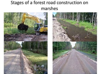 Stages of a forest road construction on
marshes
 