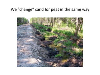 We “change” sand for peat in the same way
 
