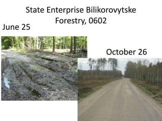 State Enterprise Bilikorovytske
Forestry, 0602
June 25
October 26
 