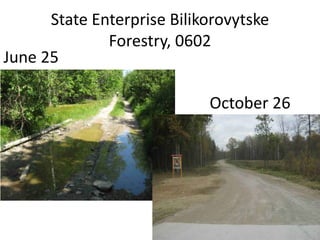 State Enterprise Bilikorovytske
Forestry, 0602
June 25
October 26
 