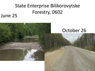 State Enterprise Bilikorovytske
Forestry, 0602
June 25
October 26
 