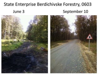 State Enterprise Berdichivske Forestry, 0603
June 3 September 10
 